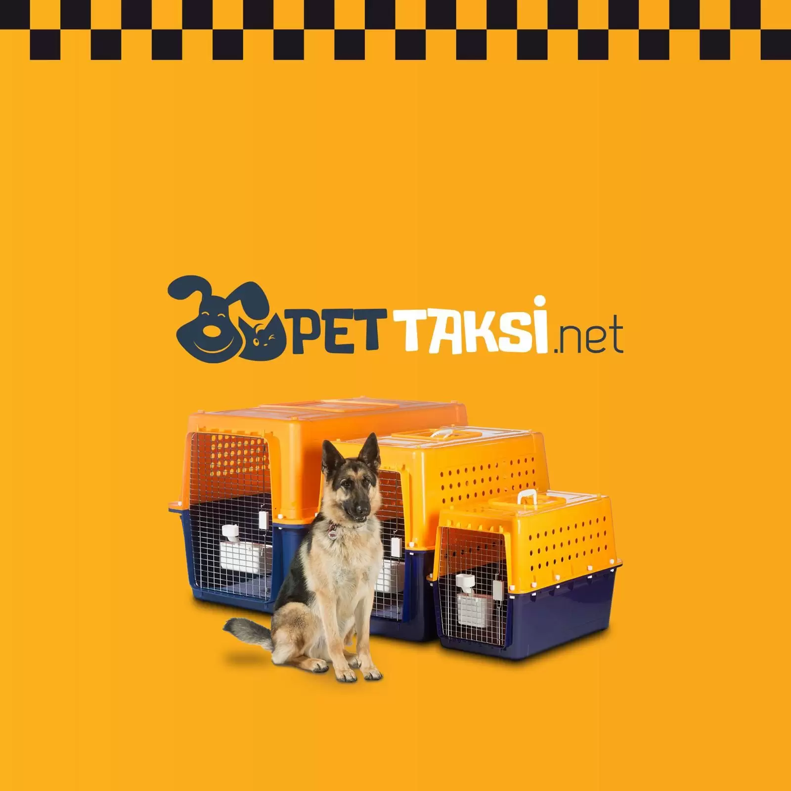 Pet Taxi Hizmeti